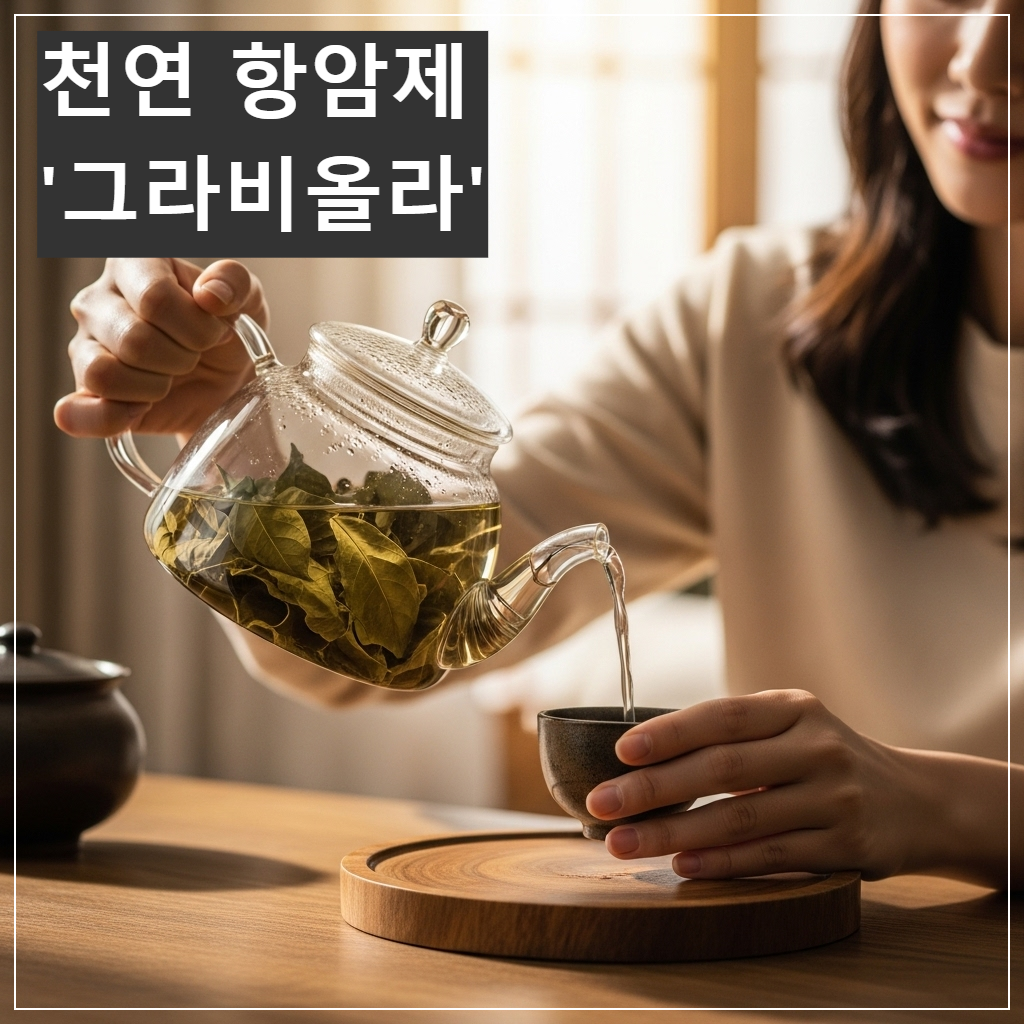그라비올라 건잎 차