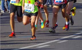 2026 새해일출런 대회 신청부터 일정 코스 총정리