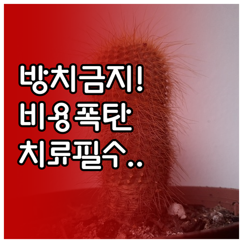 방치하면 비용 커지는 족저근막염 물리..