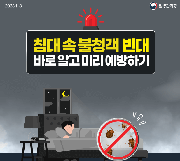 빈대퇴치