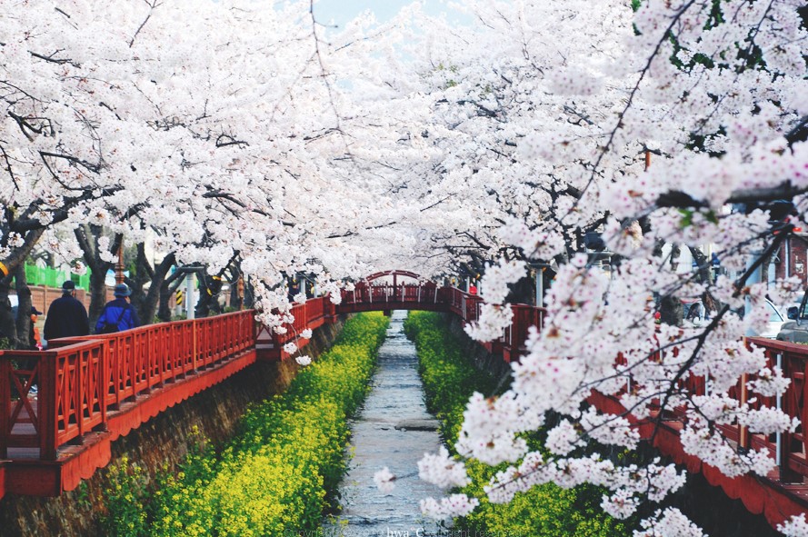 여좌천 로망스 다리