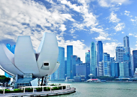 싱가포르-입국신고서