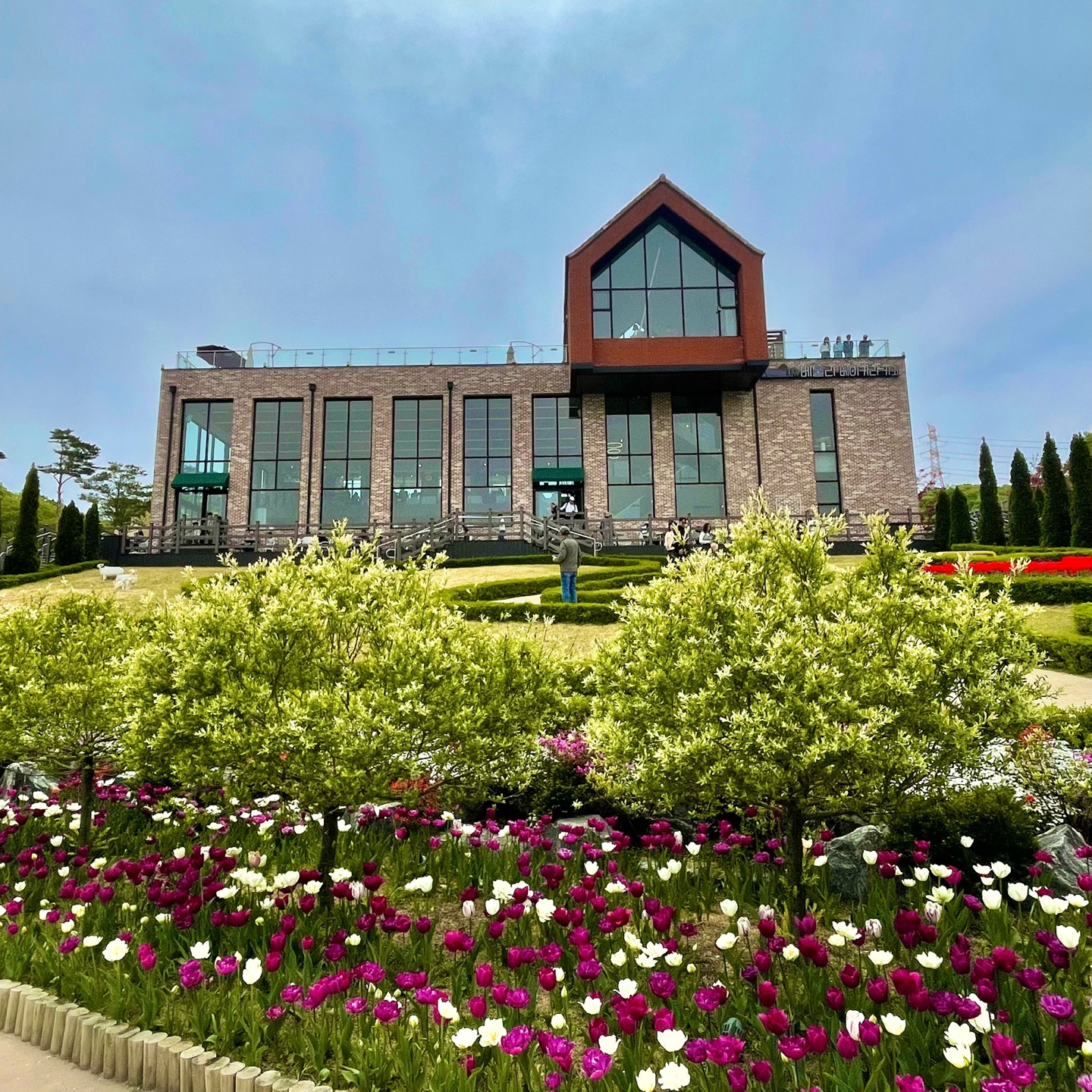 용인 자작나무숲 베툴라 대형 베이커피 카페