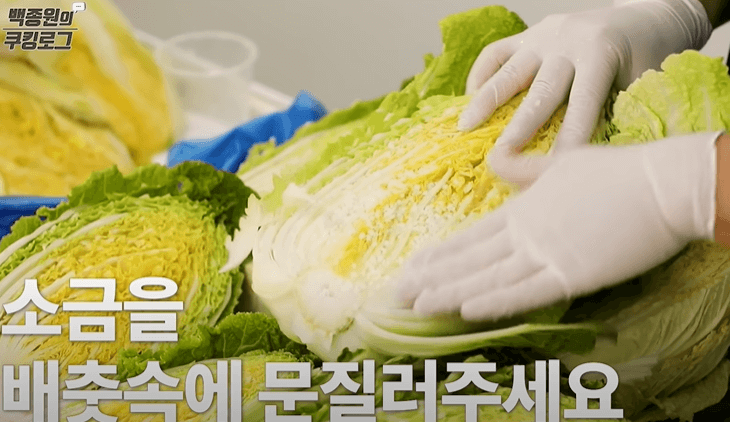 김장용 배추 절이는 법