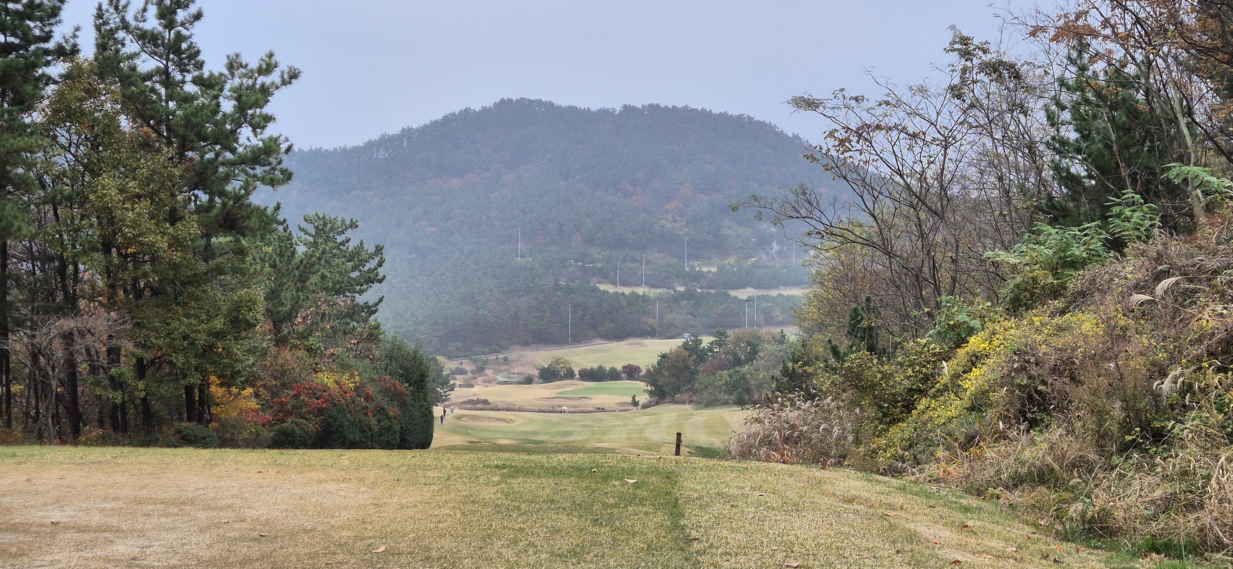 골든베이cc 오션 코스 사진 및 공략 정보
