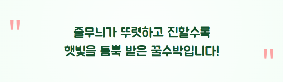수박 고르는 방법