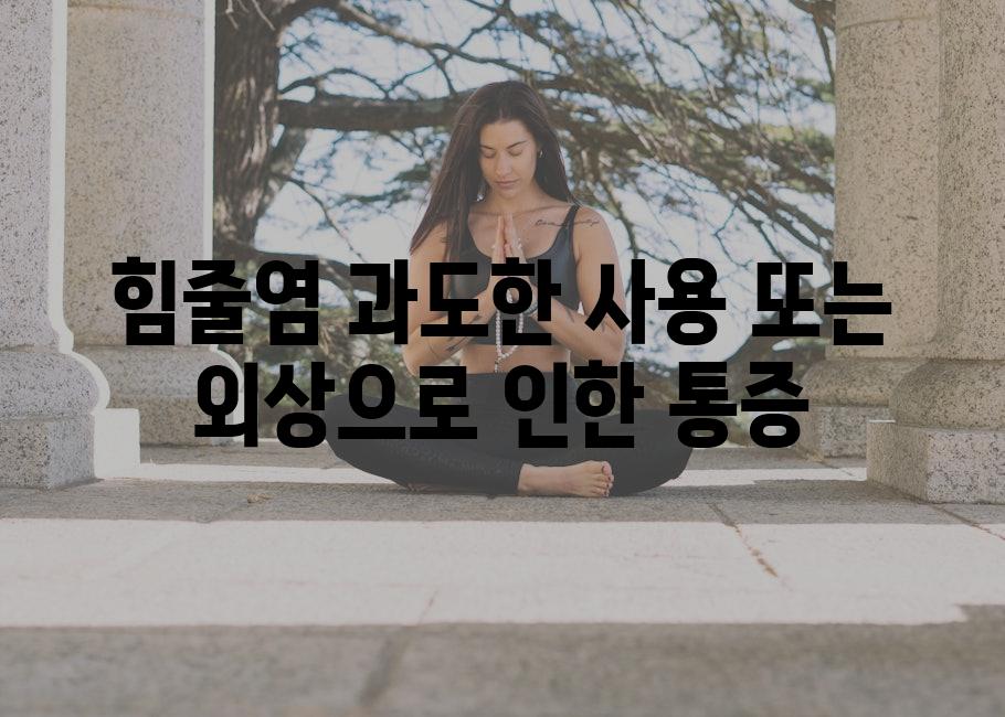 힘줄염 과도한 사용 또는 외상으로 인한 통증