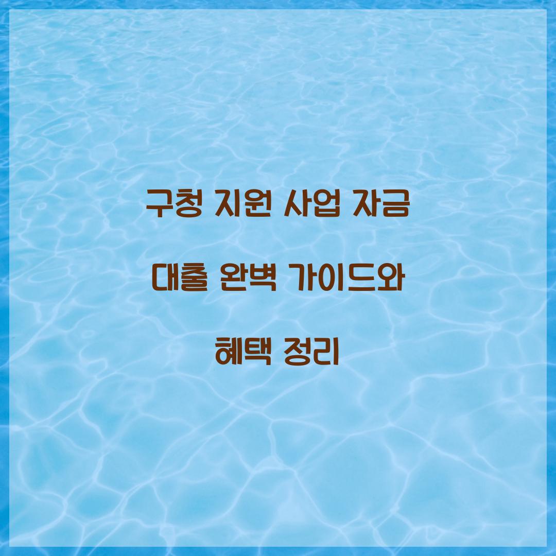 구청 지원 사업 자금 대출