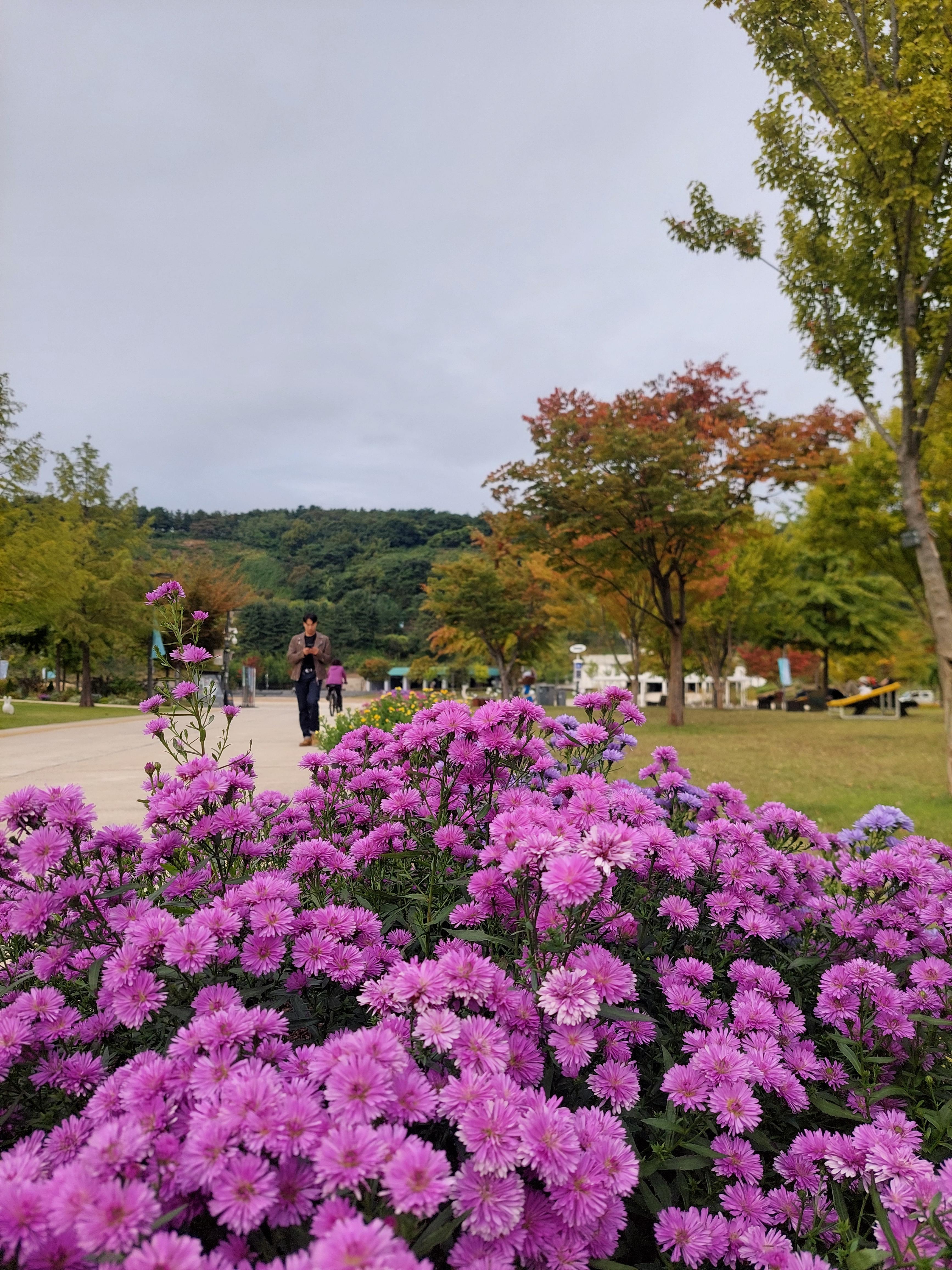 하늘공원
