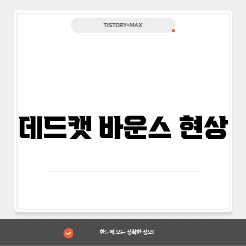 데드캣 바운스 현상