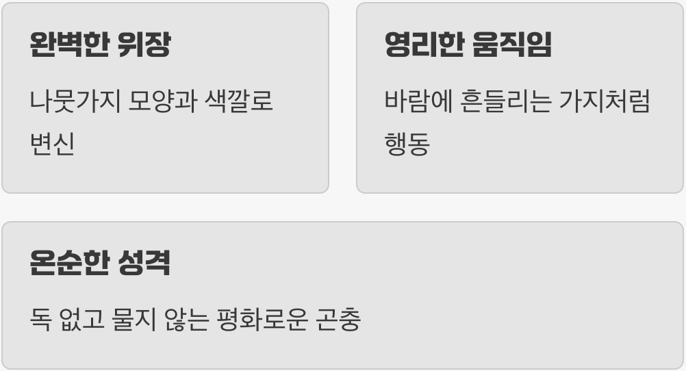 풀숲의 위장술사, 대벌레의 정체