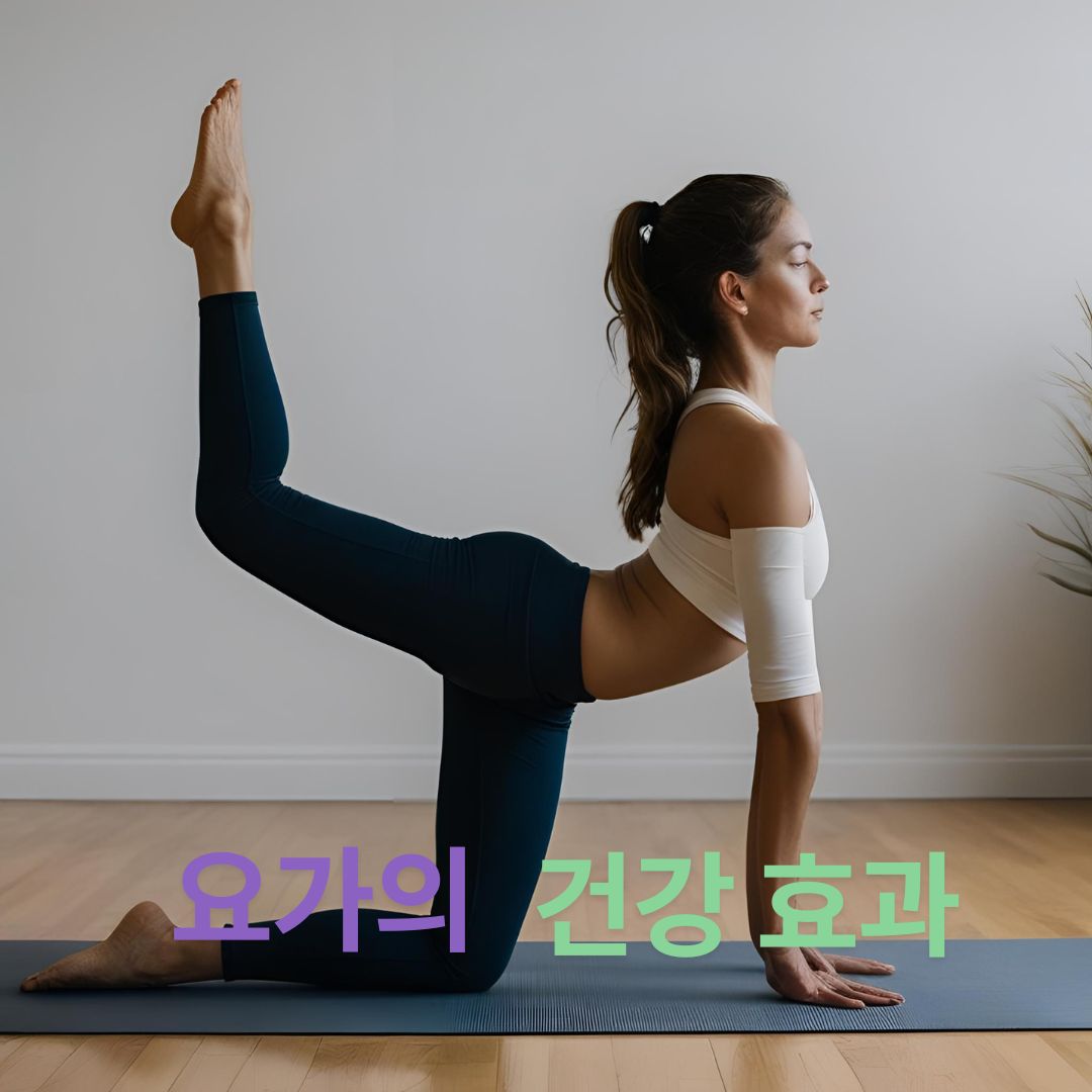 요가의 건강 효과