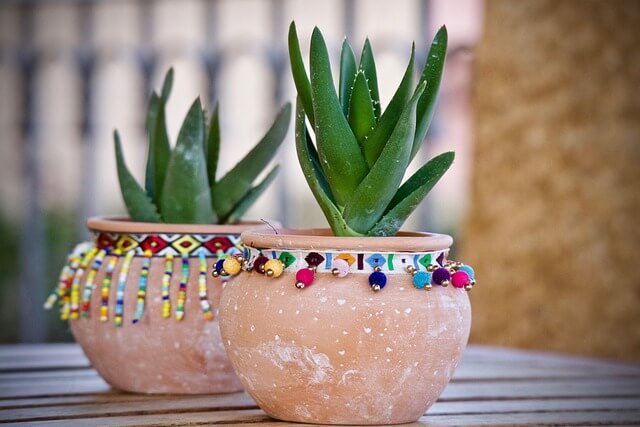 테라리움 키트와 식물 선택 가이드