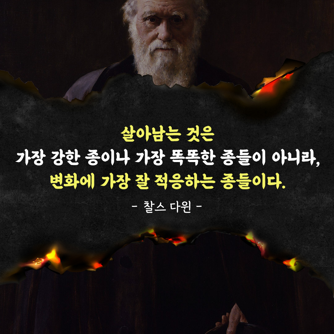 살아남는 것은 가장 강한 종이나 가장 똑똑한 종들이 아니라, 변화에 가장 잘 적응하는 종들이다. - 찰스 다윈