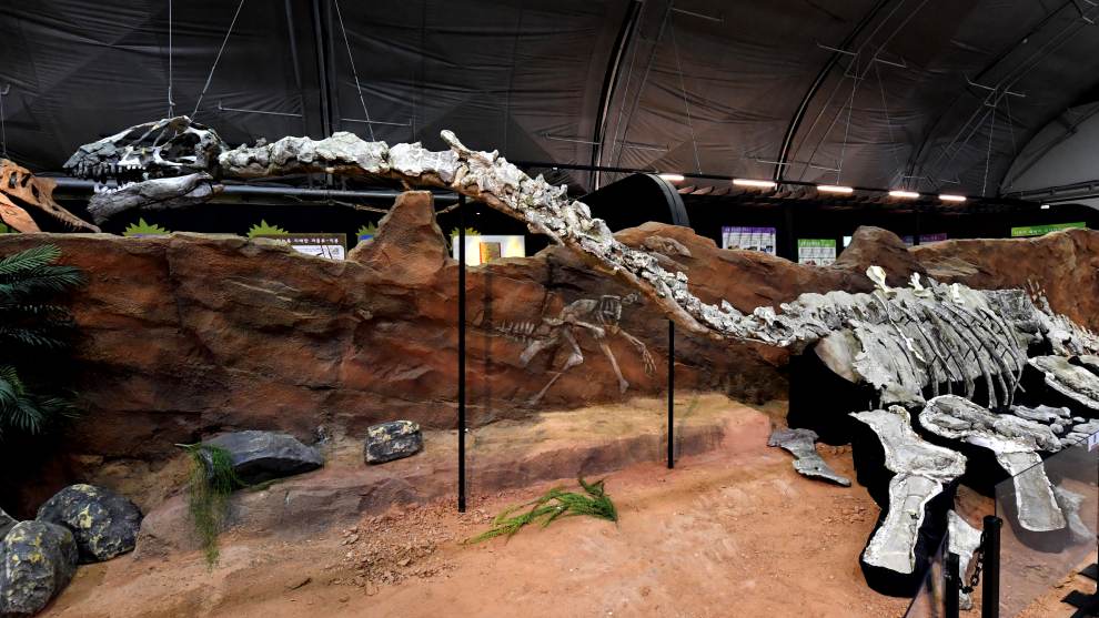 경남고성공룡세계엑스포 기본정보