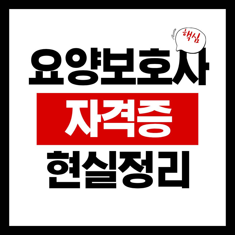 요양보호사 자격증 현실 정리