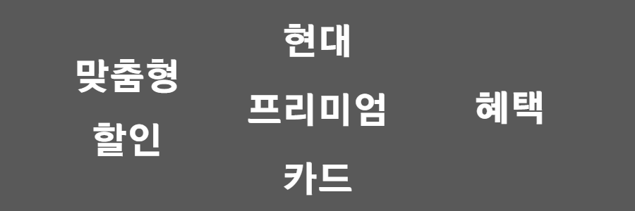 현대 프리미엄 카드