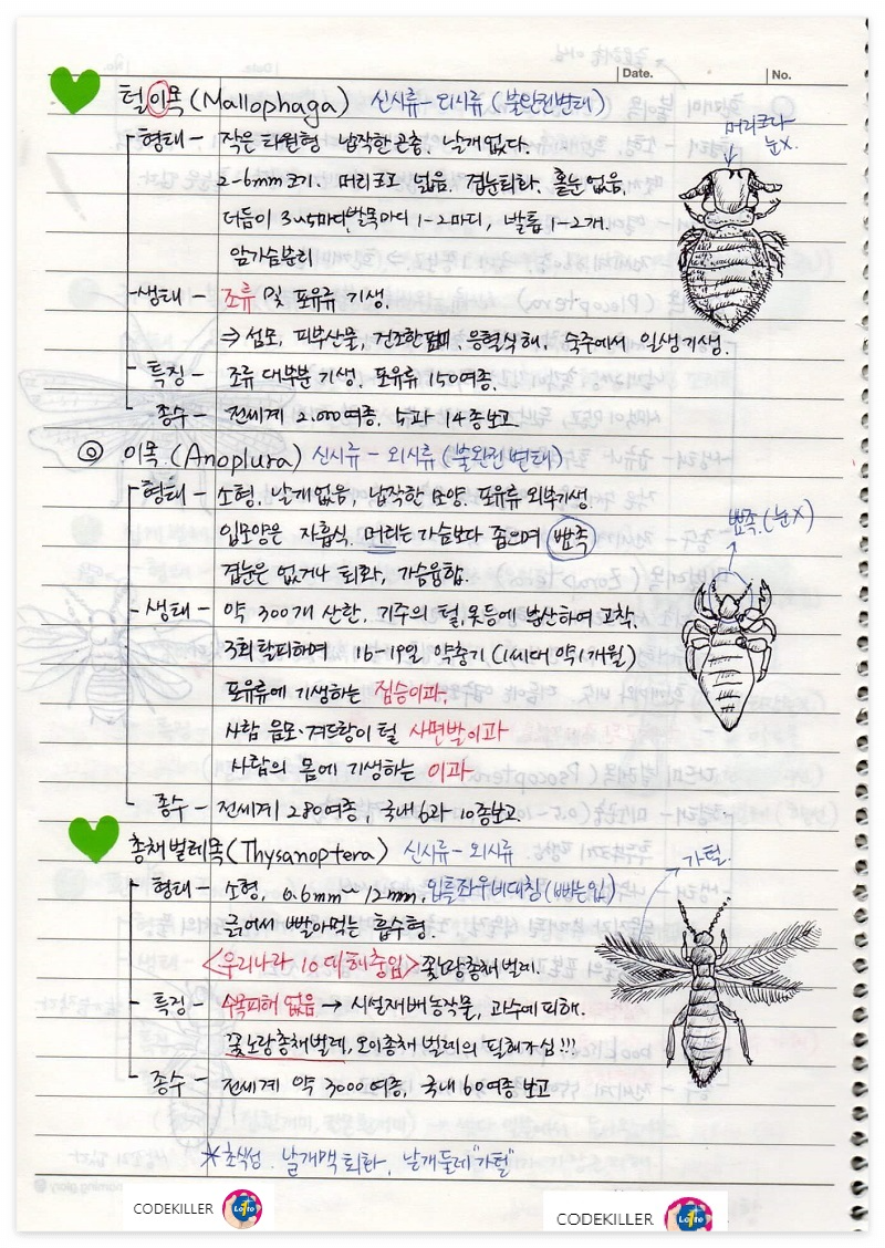 곤충의 계통분류 - 털이목,이목,총채벌레목