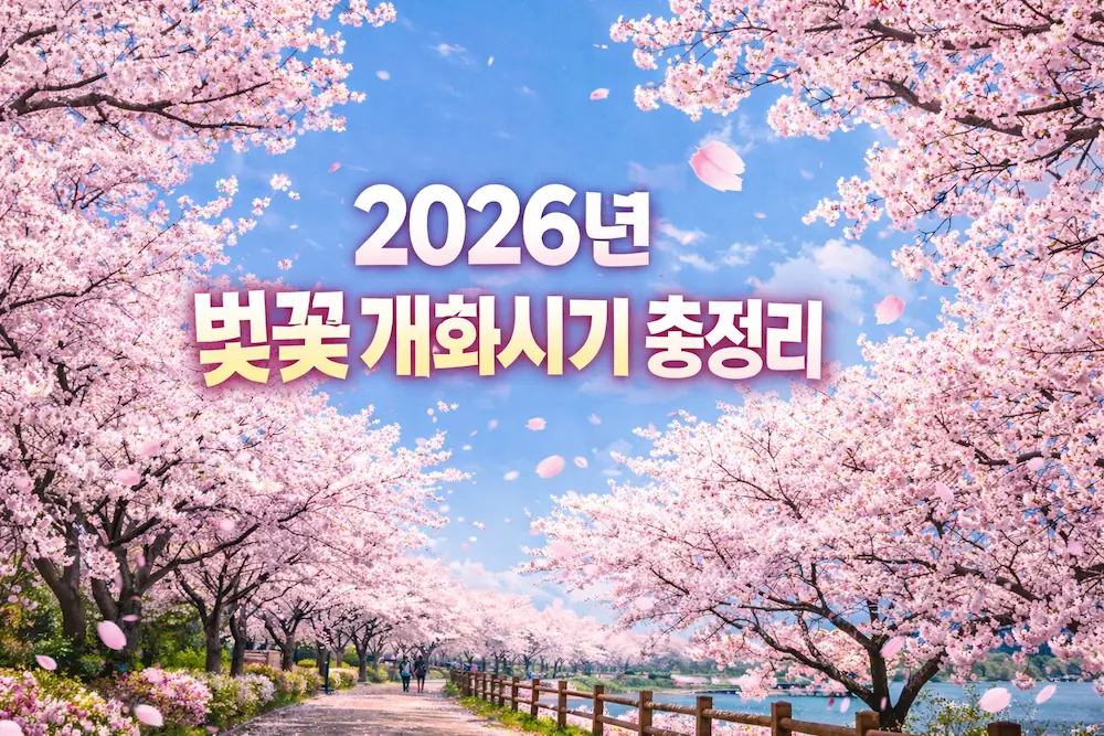 2026년 벚꽃 개화시기 총정리 대표 썸네일