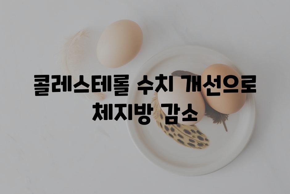 콜레스테롤 수치 개선으로 체지방 감소