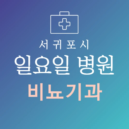 서귀포시-일요일-비뇨기과-문여는곳-주말에-진료하는-서귀포-24시간-비뇨기과-병원