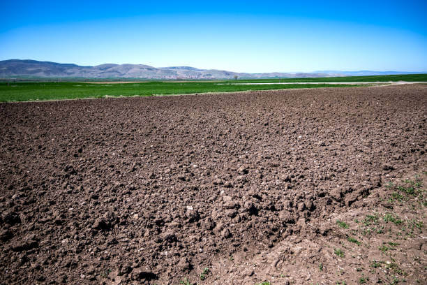 분당 부동산 투자