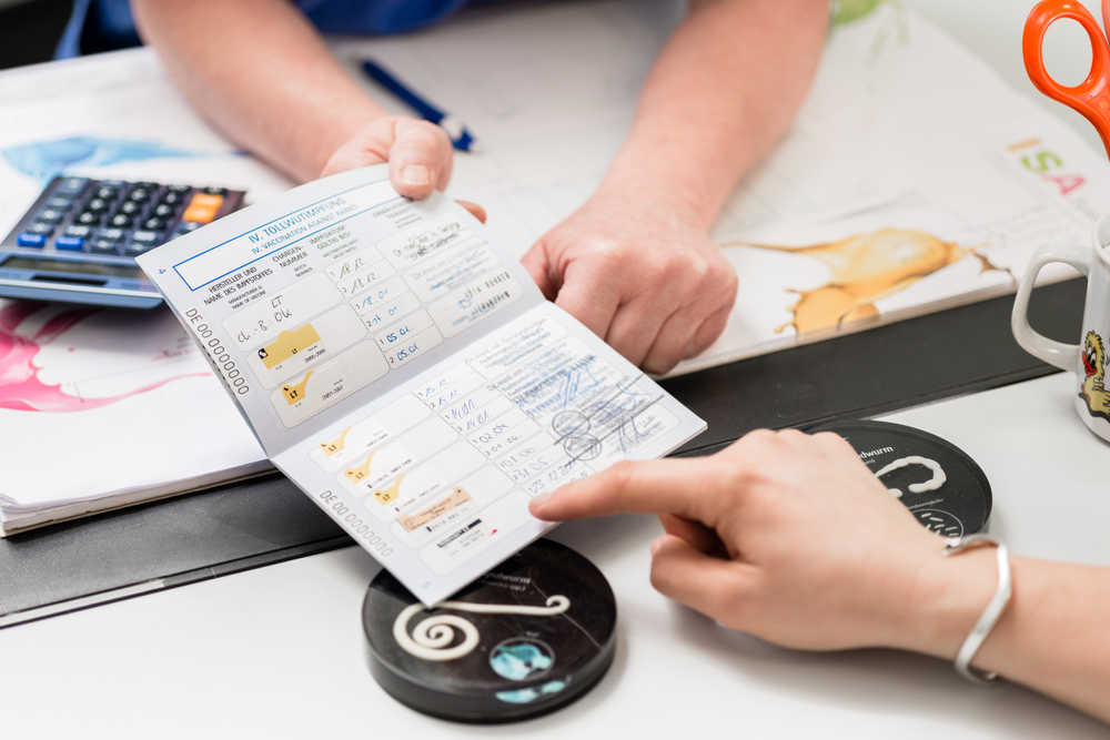 여권 갱신 준비물