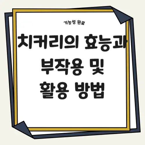 치커리의 효능과 부작용 및 활용 방법