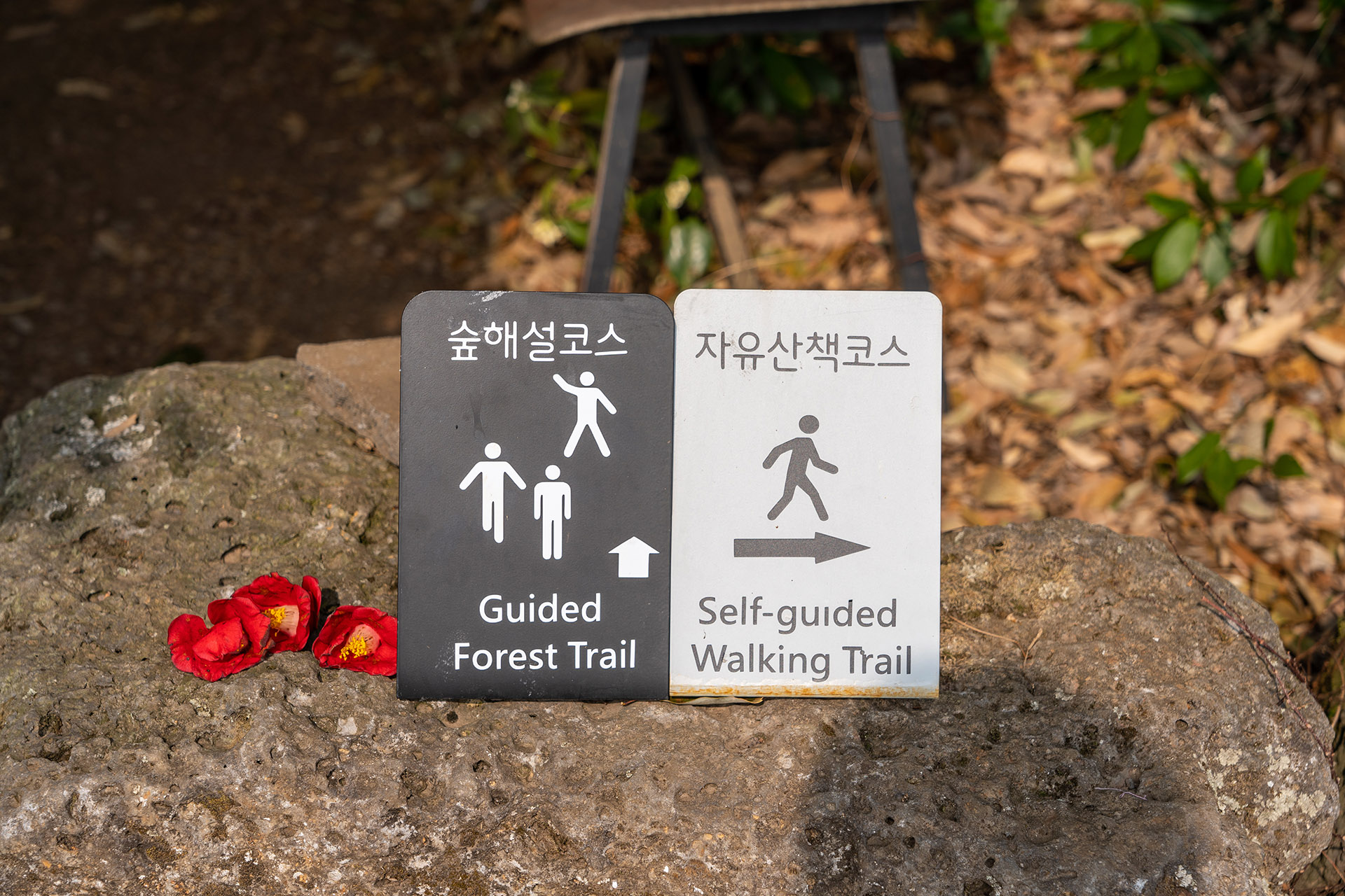 환상숲 곶자왈 공원