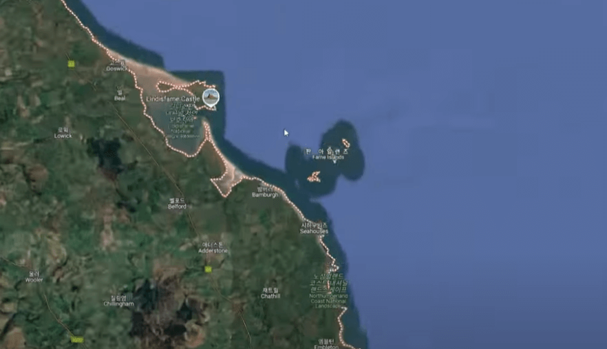 생존을 위한 전략1