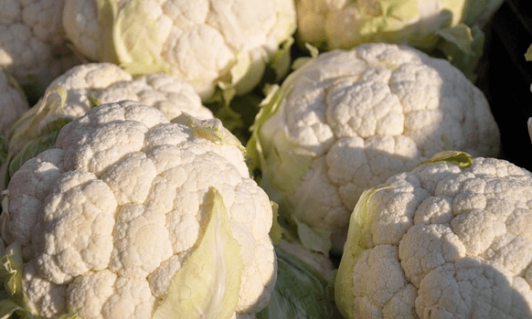 하얀색의 축구공처럼 생긴 커다란 콜리플라워 5개가 있다. 구름 모양처럼 생겼고 매우 단단해보인다.