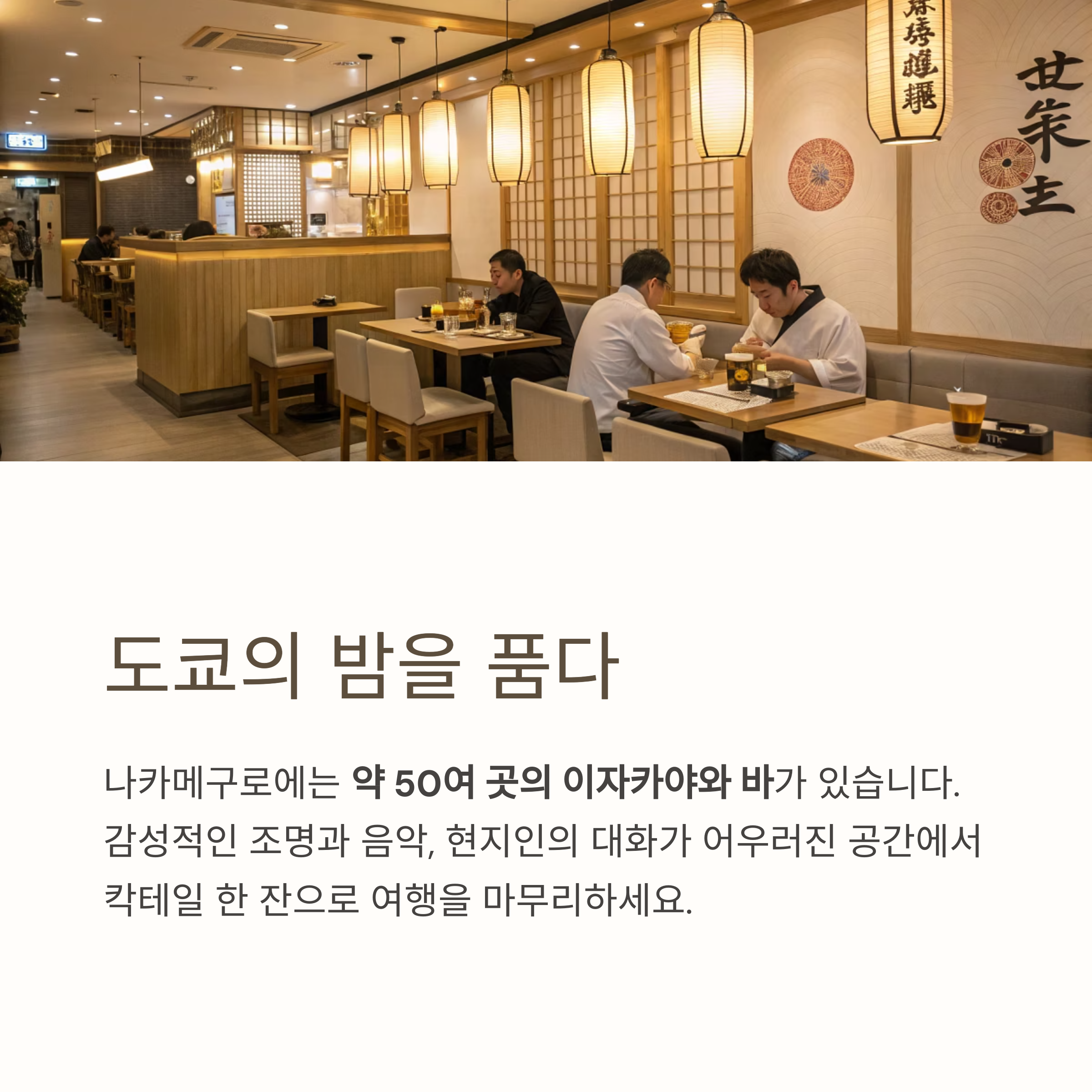 도쿄의 밤을 품다