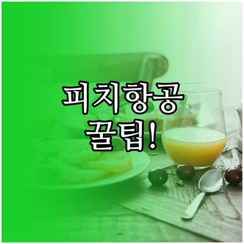 피치항공 인천공항 제1터미널 이용 방..