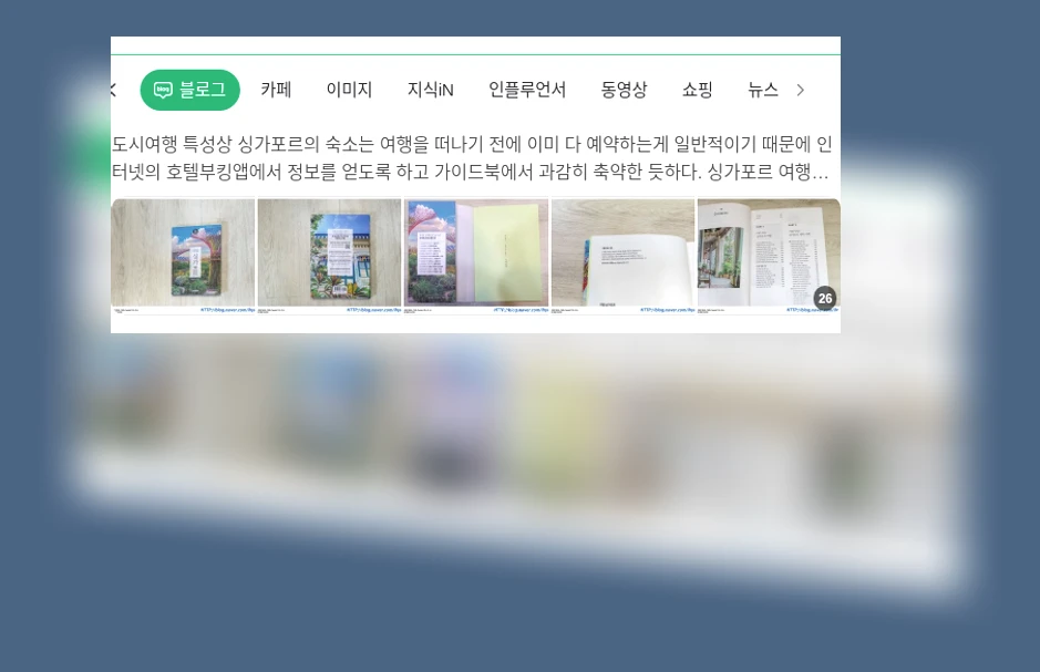 싱가포르 여행 가이드_1_subsection