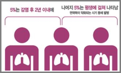 잠복결핵환자-전염성결핵-발병률(결핵zeo)