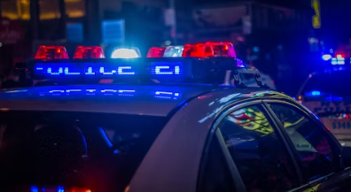 815 광복절 음주운전 특별사면 대상자 명단 확인