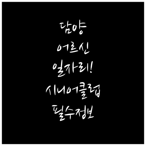 담양군 어르신 일자리 상담 및 시니어..