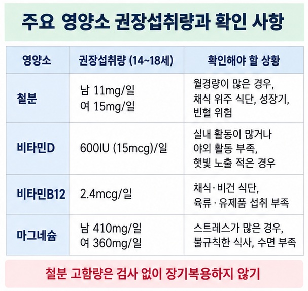 14세에서 18세 수험생의 철분 비타민D 비타민B12 마그네슘 참고 섭취량과 확인 상황을 표로 정리한 이미지
