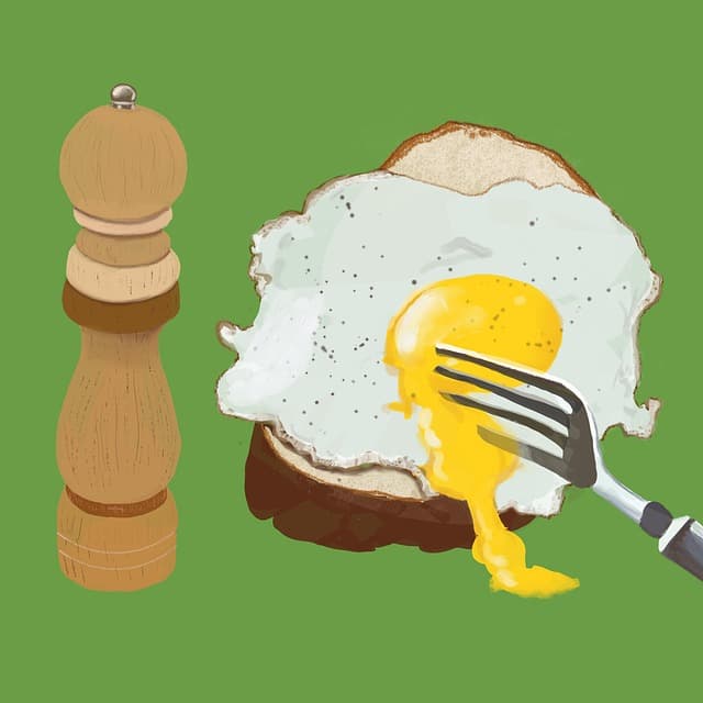 10일 계란 다이어트 후기