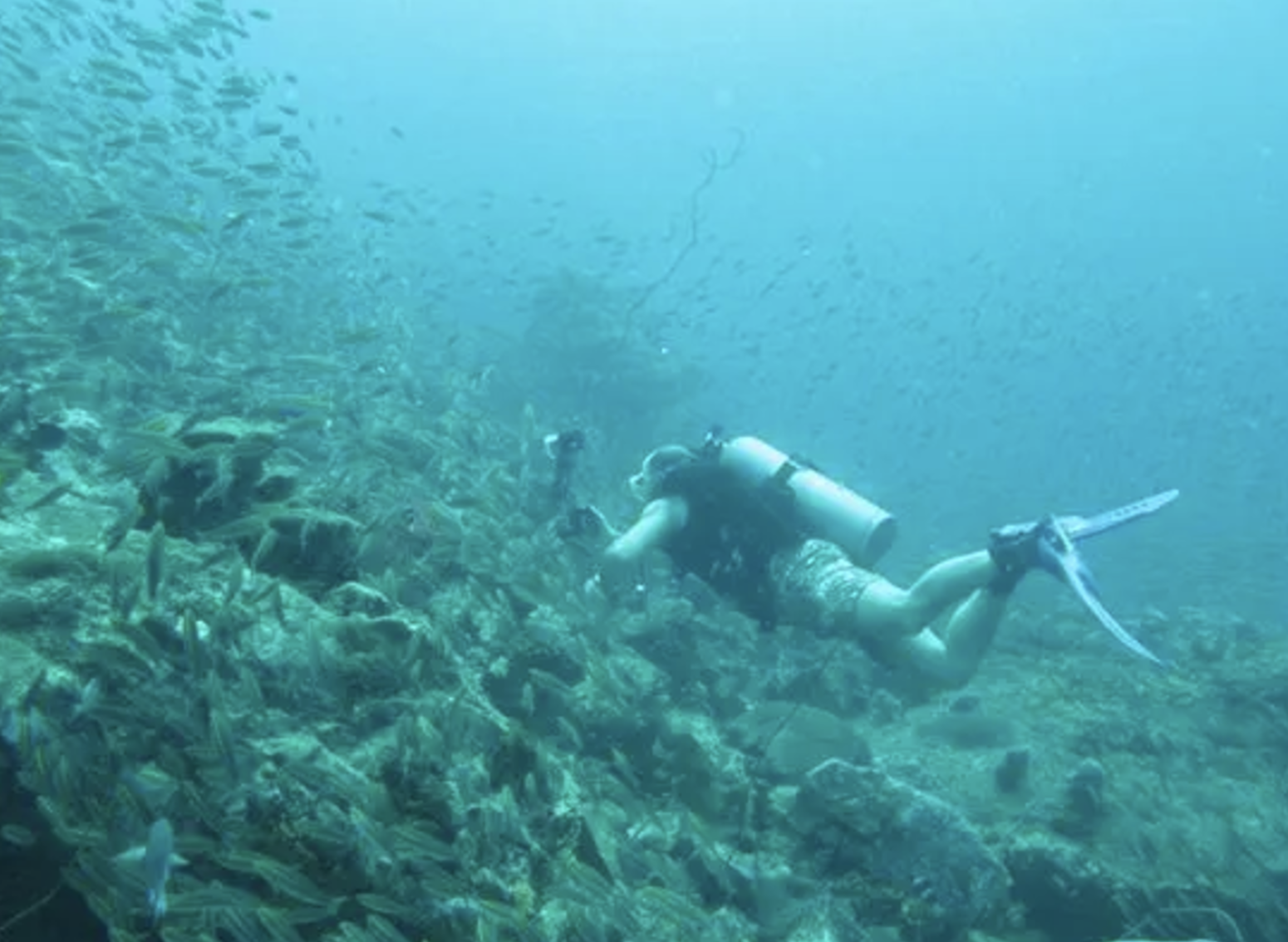 스쿠어다이빙-인터파크2