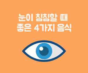 눈이 침침할 때 좋은 음식 4가지와 눈그림