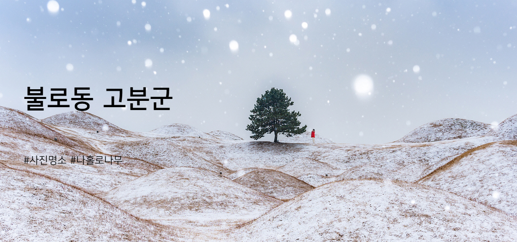불로동 고분군