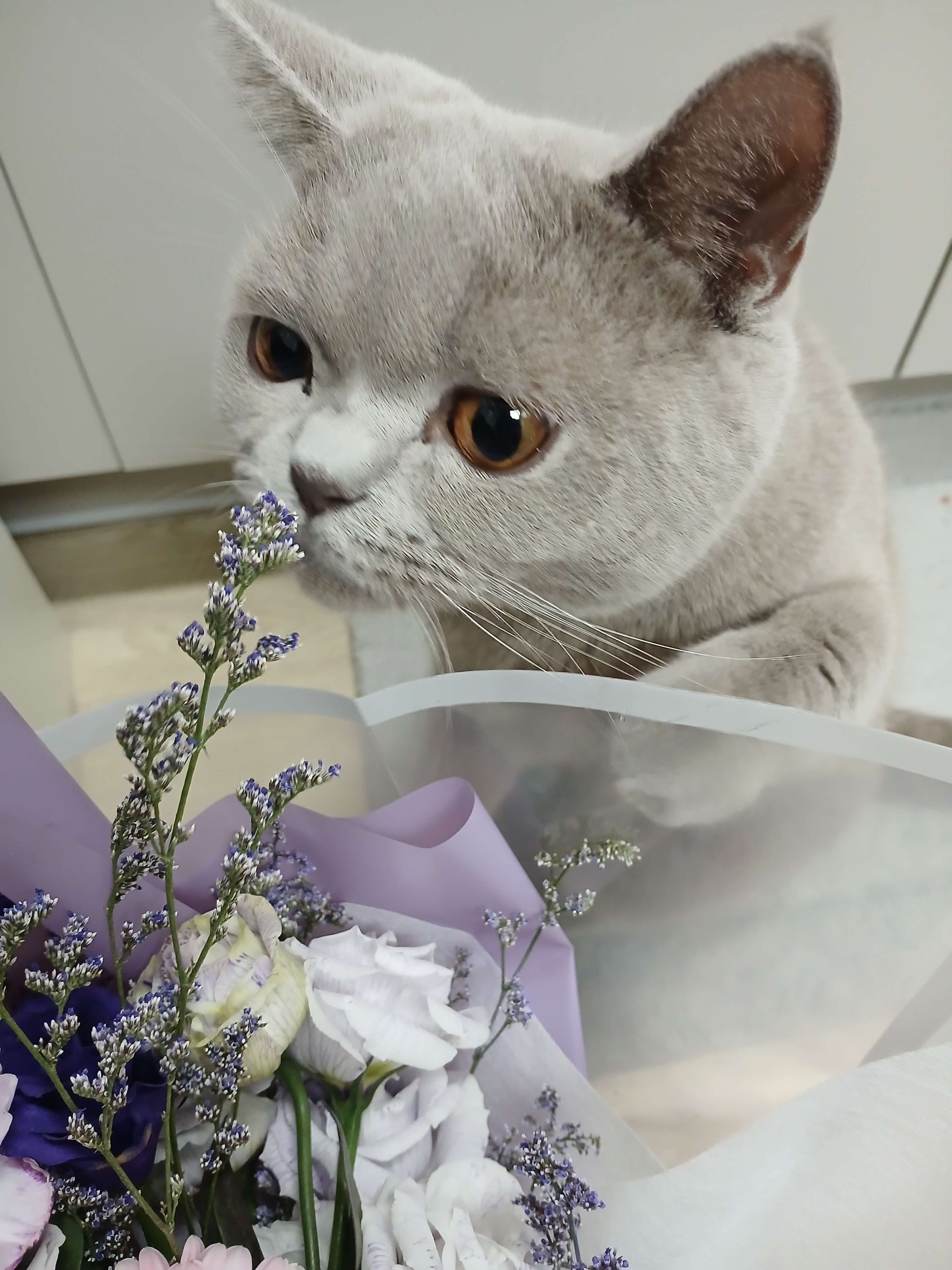 아무리 예뻐도 위험한 식물은 피해주세요.