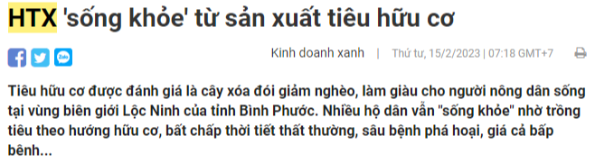 HTX가 포함된 기사 제목