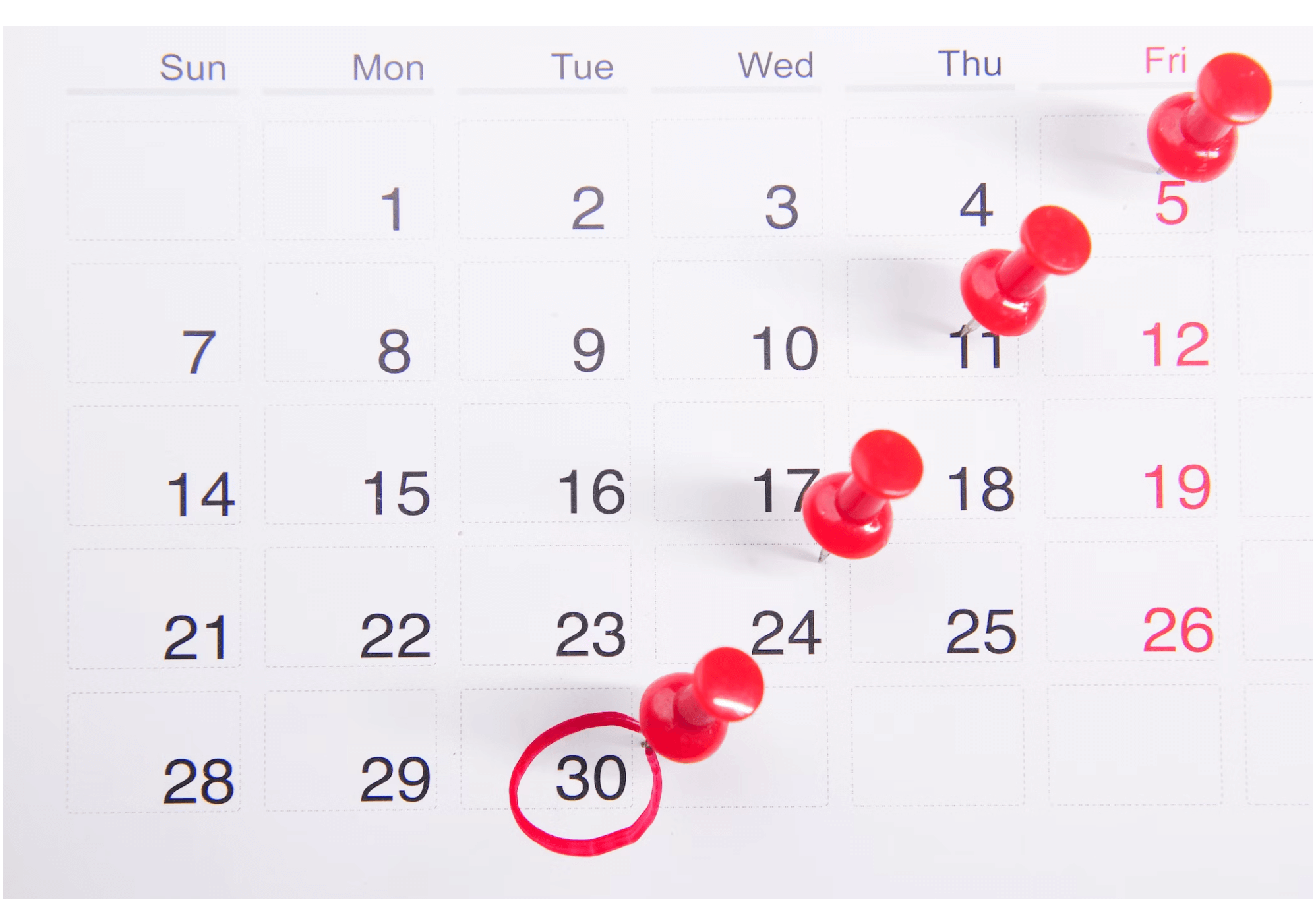 2024년 윤년 몇일 쉬나요?