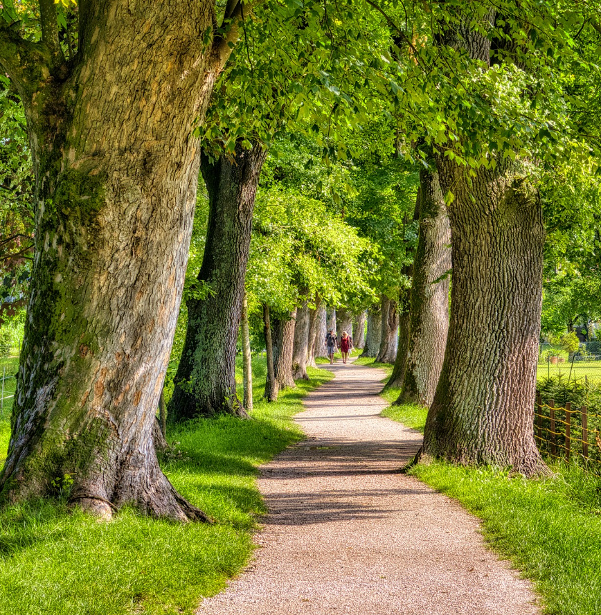 아침에 15~30분 산책하면 밤에 멜라토닌 분비 증가