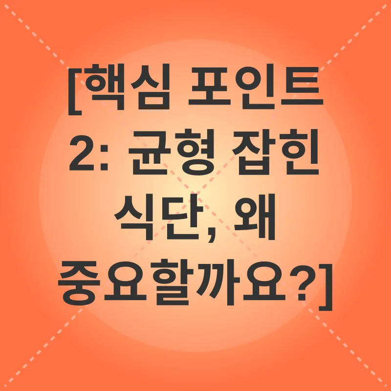 균형 잡힌 식단_2