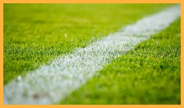 축구 중계방송 무료 바로보기 (한국 팔레스타인)