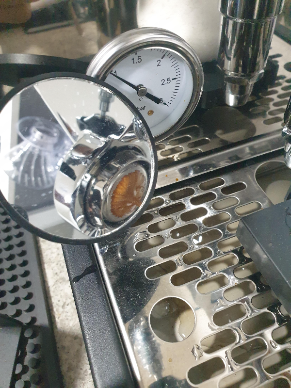 거울에 추출하는 모습이 보인다. 타이거 스킨이 선명하다.