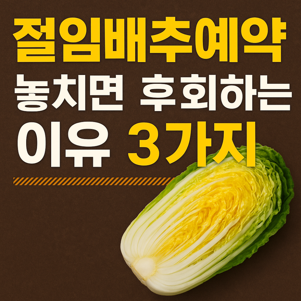 절임배추예약 놓치면 후회하는 이유 3가지 인포그래픽